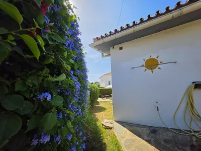 Detached Villa in Estepona