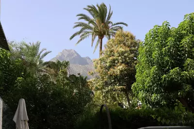 Ground Floor Apartment in Marbella