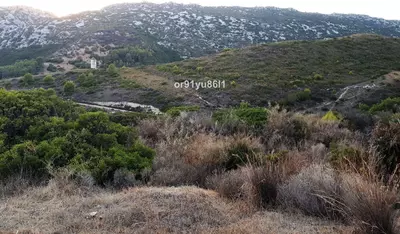 Finca - Cortijo in Casares