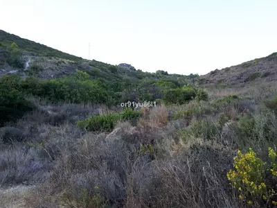 Finca - Cortijo in Casares