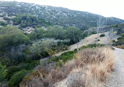 Finca - Cortijo in Casares