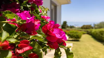 Detached Villa in Manilva