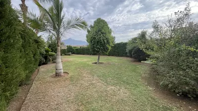 Ground Floor Apartment in Nueva Andalucía
