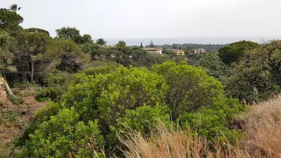 Residential Plot in Elviria