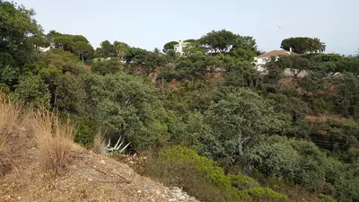 Residential Plot in Elviria