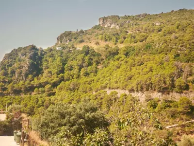 Finca - Cortijo in Casares