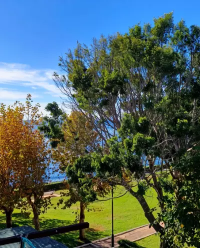 Middle Floor Studio in Estepona
