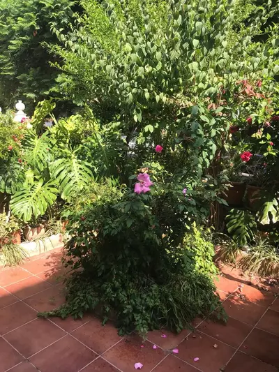 Townhouse in Estepona