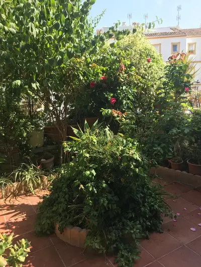 Townhouse in Estepona