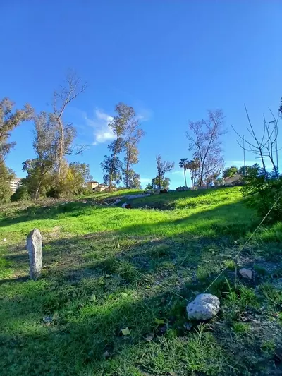 Residential Plot in Guadalmina Alta