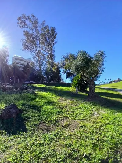 Residential Plot in Guadalmina Alta