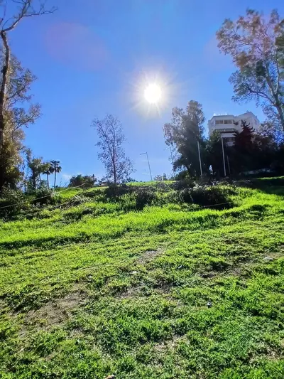 Residential Plot in Guadalmina Alta