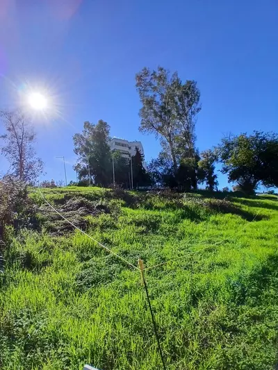Residential Plot in Guadalmina Alta