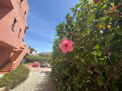 Middle Floor Apartment in Casares Playa