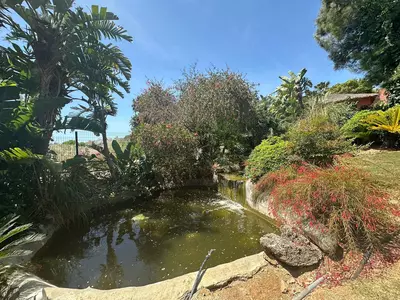 Middle Floor Apartment in Casares Playa
