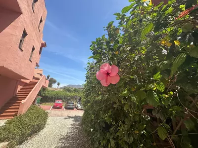 Middle Floor Apartment in Casares Playa