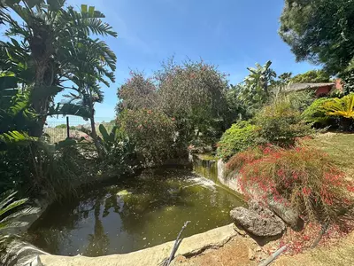Middle Floor Apartment in Casares Playa