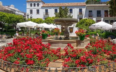 Ground Floor Studio in Estepona