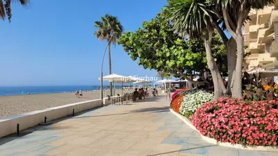 Ground Floor Studio in Estepona