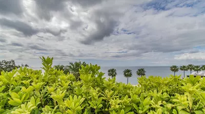 Penthouse in Estepona