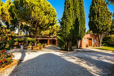 Detached Villa in Guadalmina Baja