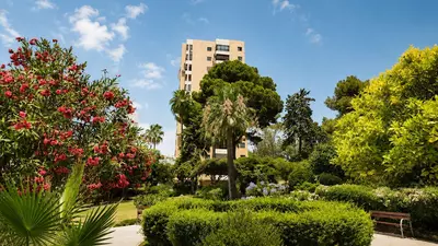 Middle Floor Apartment in Nueva Andalucía