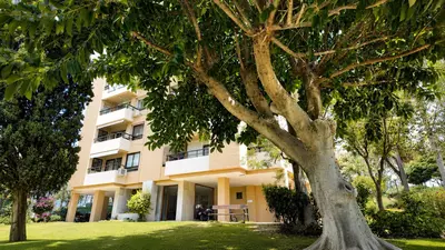 Middle Floor Apartment in Nueva Andalucía