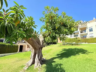 Middle Floor Apartment in Marbella