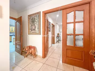 Semi-Detached House in Estepona
