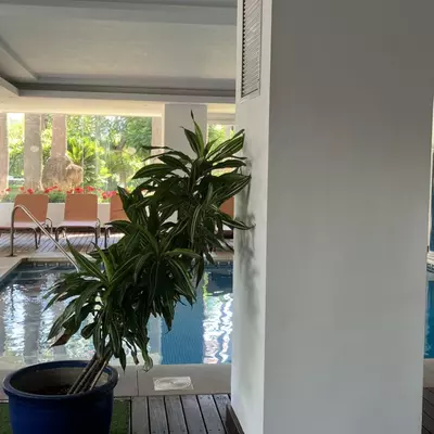Ground Floor Apartment in Puerto Banús