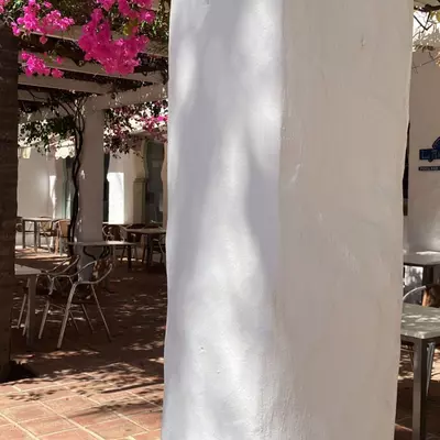 Ground Floor Apartment in Puerto Banús