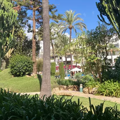Ground Floor Apartment in Puerto Banús