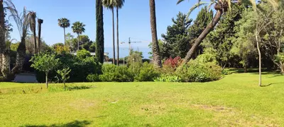 Ground Floor Apartment in Marbella