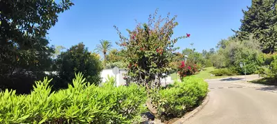Ground Floor Apartment in Marbella