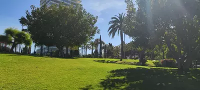Ground Floor Apartment in Marbella