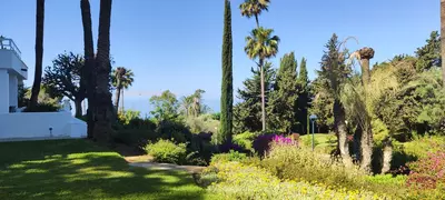 Ground Floor Apartment in Marbella