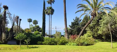 Ground Floor Apartment in Marbella