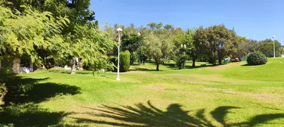 Ground Floor Apartment in Marbella