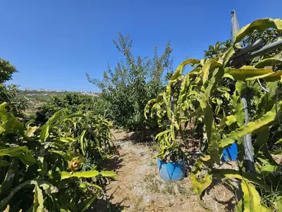 Detached Villa in Casares