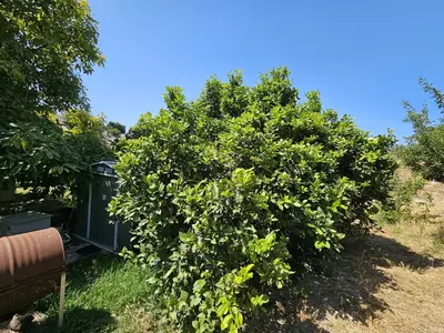 Detached Villa in Casares