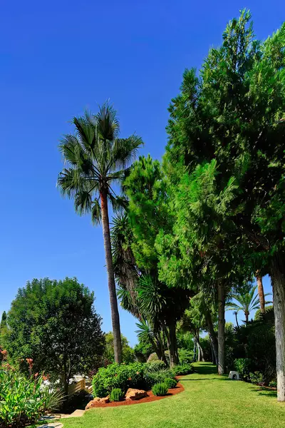 Detached Villa in Marbella