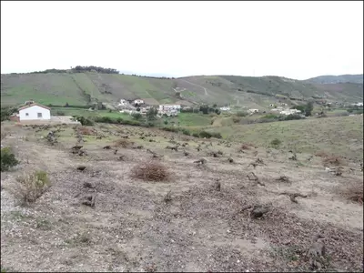 Finca - Cortijo in Manilva