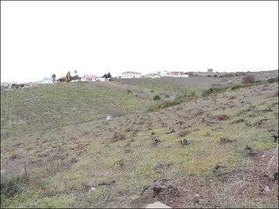 Finca - Cortijo in Manilva