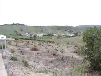 Finca - Cortijo in Manilva