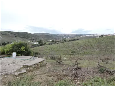 Finca - Cortijo in Manilva