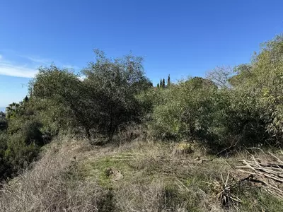 Residential Plot in Elviria