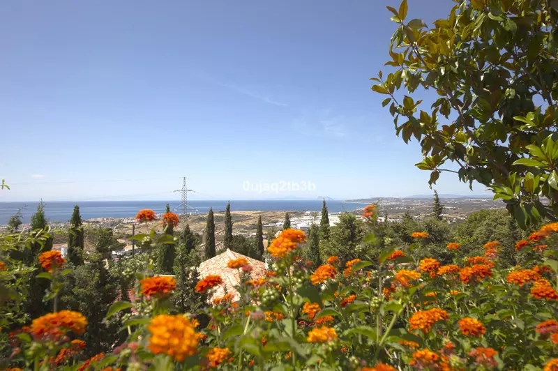 Detached Villa in Estepona
