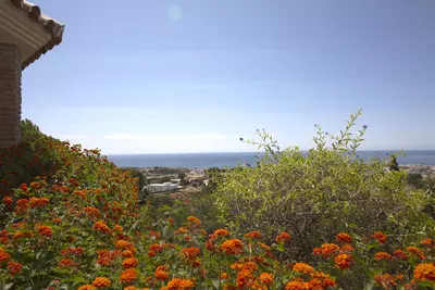 Detached Villa in Estepona