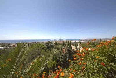 Detached Villa in Estepona