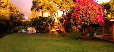 Detached Villa in Elviria